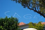 sage 1