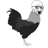 soychicken