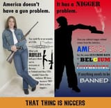 Nigger Problem