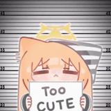 cat too cute