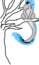 ezgif.com-animated-gif-maker