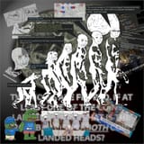 evolutionNew
