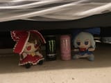 CIRNO REIMU MONSTER
