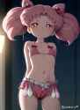 chibiusa watermark_thumb.jpg