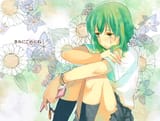 508977