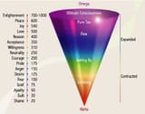 emotional-spectrum