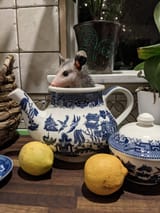 tea time