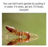 1669715783619391