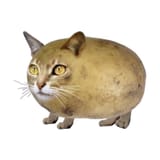 POTATO.CAT.......