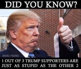 trump supporters