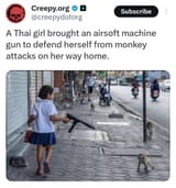 aqdr7rl7wsgf1