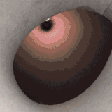 1690837641635045