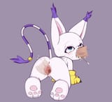 3655729_Flong_4