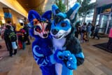 0119_furry-convention03-1920x1281