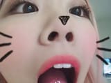 Meow