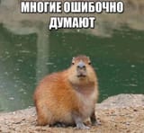 17543699258443