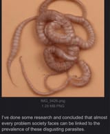 1752968491962059