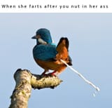 butt nut fart