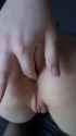 Ass.2H(1)_thumb.jpg