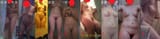 collage_cens