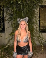 kitty (231)