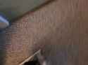 20250805_160107_thumb.jpg