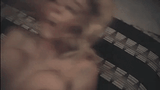 21602963