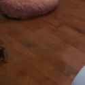 marfeet_thumb.jpg