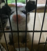 what is his crime