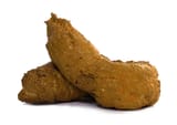 508858535-612x612