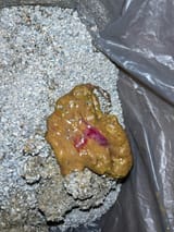IMG_8208