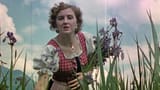 eva-braun-revelations-sur-la-femme-du-fuhrer