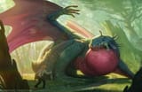 frog dragon