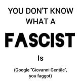 You Don&#039;t Know What A Fascist Is