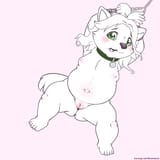 5639006_maverick_sksk-resua-husky1-no_toyu
