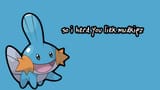 iheardulikemudkips
