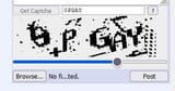 opgay