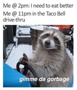 TrashPanda-TacoBell