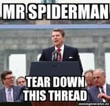 mrspider