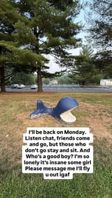 sad-loser
