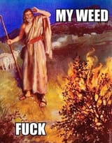 Abraham-Weed