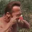 video_2023-03-29_11-59-14_thumb.jpg