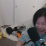 lole