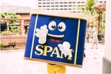 spam_man