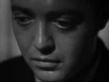 Peter Lorre 390.26ae7c63b03c782bf73e720cfe02c0c6