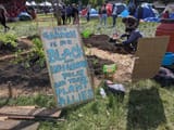 seattle-chop-community-garden-plants-1851383919