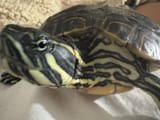 IMG_20250808_041221_391