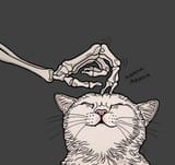 skeles pet cats