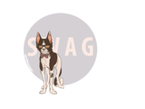 swag_cat_by_zerosha_d67is4l