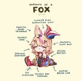 PolAnatomy